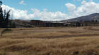 06-11-2025