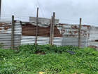 16-01-2026